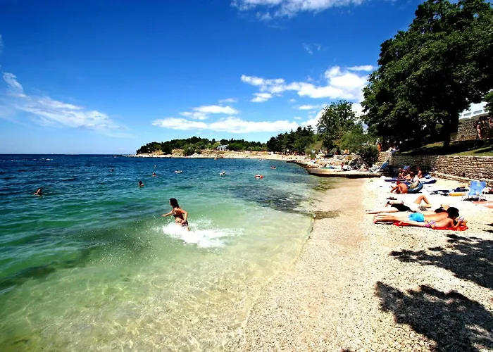 Gran Vista Plava Laguna Отель 3*